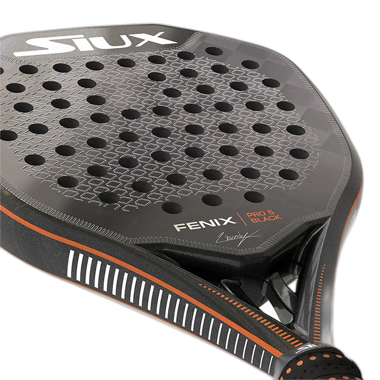 SIUX FENIX PRO 5 LTD 2025 LEO AUGSBURGER